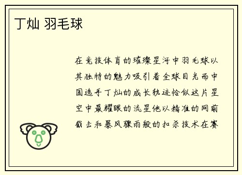 丁灿 羽毛球