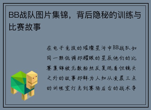 BB战队图片集锦，背后隐秘的训练与比赛故事