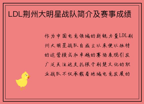 LDL荆州大明星战队简介及赛事成绩