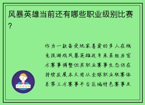 风暴英雄当前还有哪些职业级别比赛？